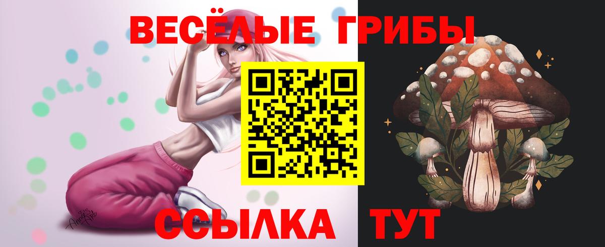 Галлюциногенные грибы Psilocybe  Вход с VPN  Ессентуки  Псилоцибиновые грибы Magic Shrooms 
